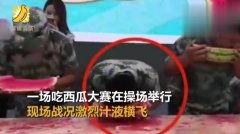 黑料吃瓜网apk普通安装 