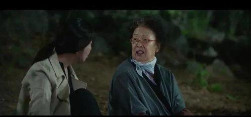 黑料吃瓜网apk普通安装 