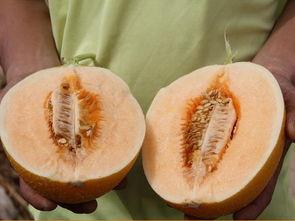 夜猫圈酒吧 [][][] 下载app 