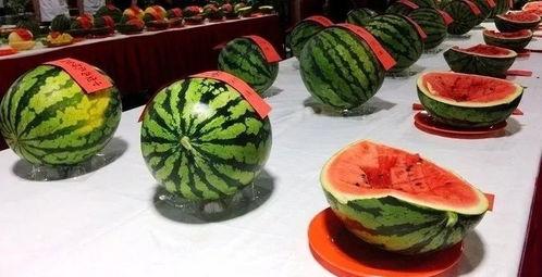 黑料吃瓜网apk普通安装 